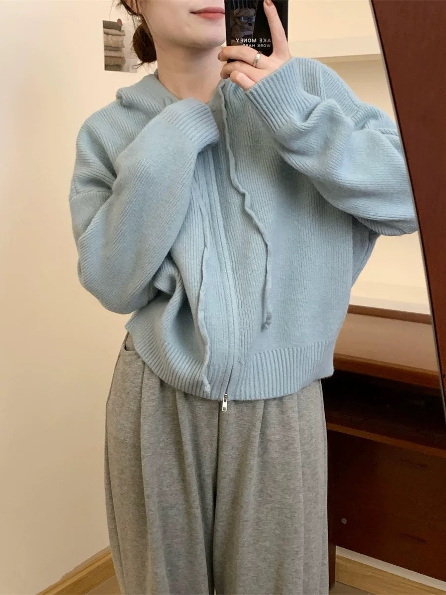 ARLENE™ | – Cozy Long Sleeve Hooded Cardigan